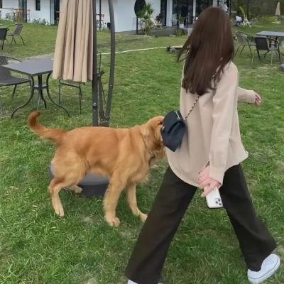 蚁人2:黄蜂女现身